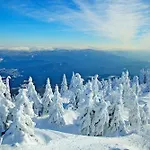Dom wakacyjny Nr 25, Typ A, Jaegerpark, Bayerischer Wald Viechtach