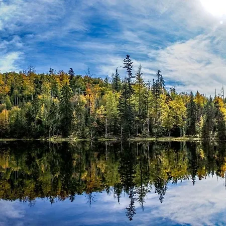 Prázdninový dům Nr 25, Typ A, Jaegerpark, Bayerischer Wald *
