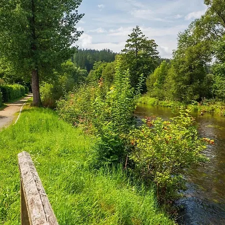 Dom wakacyjny Nr 25, Typ A, Jaegerpark, Bayerischer Wald *