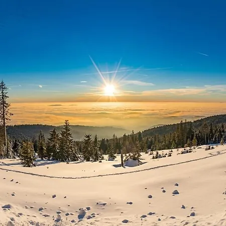 Nr 25, Typ A, Jaegerpark, Bayerischer Wald * Viechtach