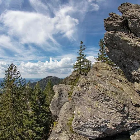 Nr 25, Typ A, Jaegerpark, Bayerischer Wald Prázdninový dům *