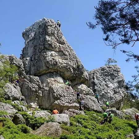 Nr 25, Typ A, Jaegerpark, Bayerischer Wald