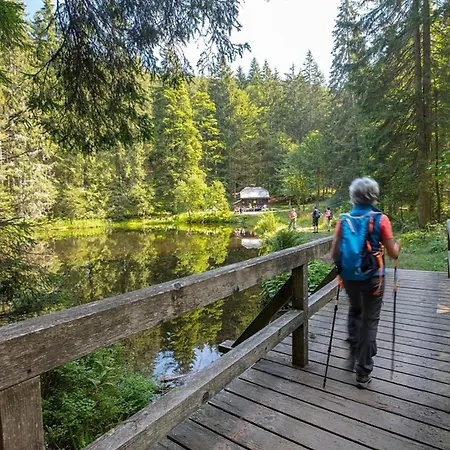 Nr 25, Typ A, Jaegerpark, Bayerischer Wald Dom wakacyjny