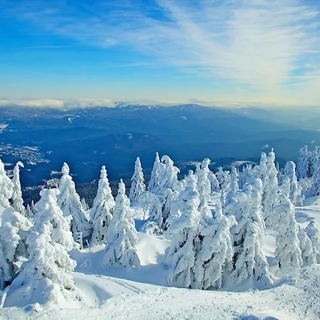 Prázdninový dům Nr 25, Typ A, Jaegerpark, Bayerischer Wald Viechtach