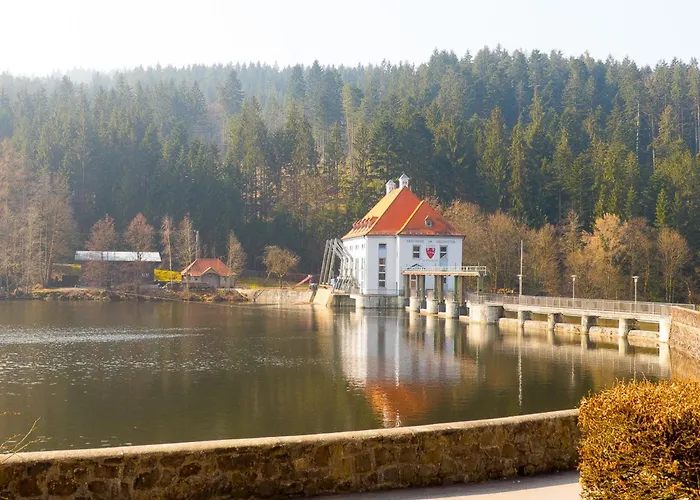 Nr 25, Typ A, Jaegerpark, Bayerischer Wald *