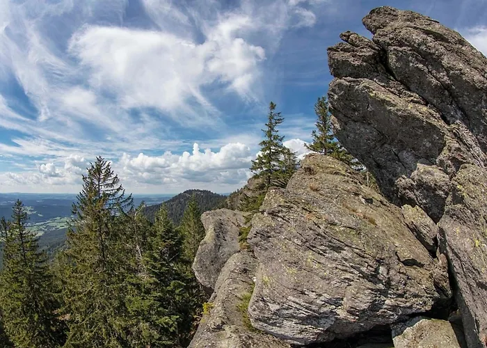 Nr 25, Typ A, Jaegerpark, Bayerischer Wald Feriehus *