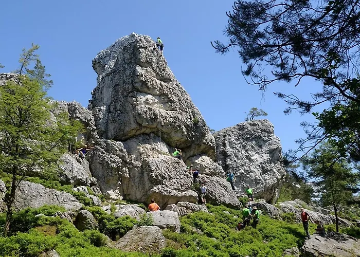 Nr 25, Typ A, Jaegerpark, Bayerischer Wald