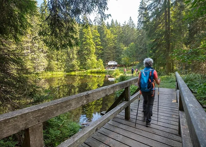 Nr 25, Typ A, Jaegerpark, Bayerischer Wald Feriehus